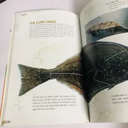 KỸ THUẬT CHẾ BIẾN MÓN SUSHI  599786