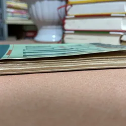 Tự lập trên đất Mỹ 🌊 600548