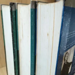 Tưởng Giới Thạch bạn và thù (Vương Triều Trụ) 1006749