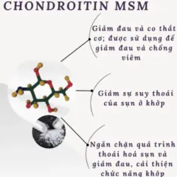 (Hàng CTY mới) Viên uống Glucosamine Webber Naturals nhập khẩu Canada - Hộp 120 viên 735862