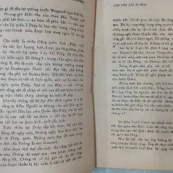 ROMMEL CON CÁO GIÀ SA MẠC 587345