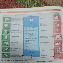 Sách Nhất nghệ tinh chuyên ngành ô tô 791294