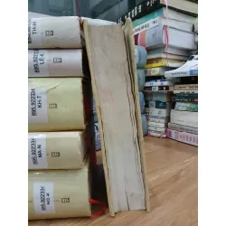 Đất rừng phương Nam – Cá bống mú – Hoa hướng dương – Đoàn Giỏi 592420