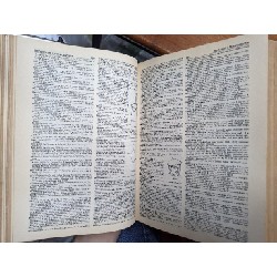 WESTER'S NEW WORLD DICTIONARY 161445