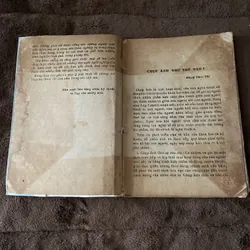 Nhiếp ảnh, 605104