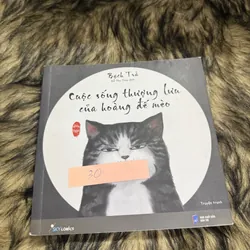 Cuộc sống thượng lưu của hoàng đế mèo 