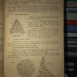 Thực hành hoa trang trí - Triệu Thị Chơi  976375