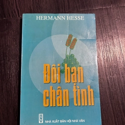 Đôi bạn chân tình - Hermann Hesse