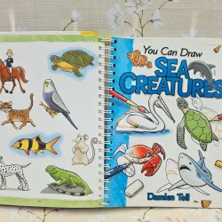 You Can Draw (Over 100 drawings to master!) 993534