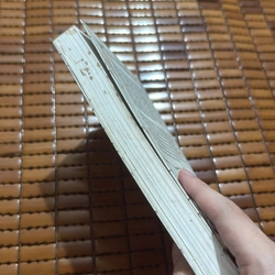 Bản thảo bằng đá - Luis Garcia Jambrina 529559