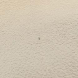 Loewe Flamenco Clutch Medium A411FC1X62 Túi - Hàng hiệu Chính hãng 769631