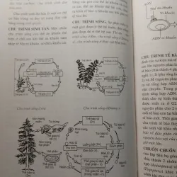 TỪ ĐIỂN SINH HỌC PHỔ THÔNG - BÌA CỨNG, KHỔ LỚN, CÓ MINH HỌA 732250