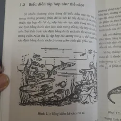 Toán học qua các câu chuyện về tập hợp. Dịch giả GS Nguyễn Tiến Dũng  590150