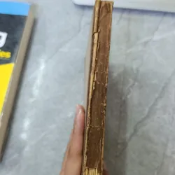 PHÊ PHÁN HỆ TƯ TƯỞNG VÀ THỰC TIỄN CỦA CHỦ NGHĨA MAO - LÊ MẠNH CHIẾN 739154