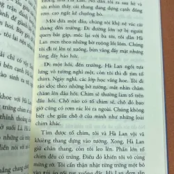 Mắt biếc 🌊 693464