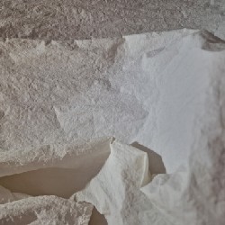 Sơ mi quá xinh 11384