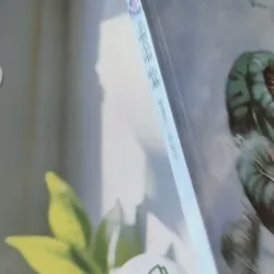 [Tặng nẹp góc] Truyện thiếu nhi Hàn Quốc: Danh nhân 33 -  지인지기 인물 이야기: 섀클턴 731998