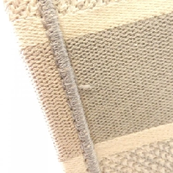 Túi xách Dior Book Tote Medium TOILE DE JOUY của Christian Dior 611857