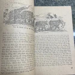 Thú rừng Tây Nguyên Thiên Lương XB 1985 760404