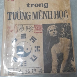 NGƯỜI ĐÀN BÀ TRONG TƯỚNG MỆNH HỌC 274239