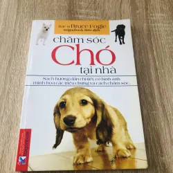 CHĂM SÓC CHÓ TẠI NHÀ