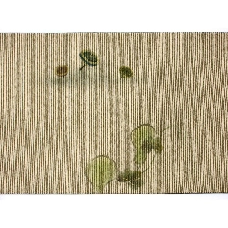 Đai túi - Hàng hiệu Authentic 873531