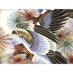 Đồ trẻ em - Bé trai một mảnh - Hàng hiệu Authentic 878167