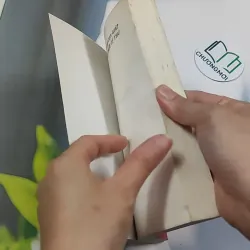 Mười Hai Con Giáp Những Điều Lý Thú 776146