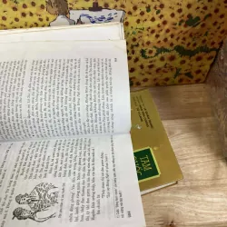 Tam Quốc Chí Diễn Nghĩa - Tử Vi Lang dịch 995966