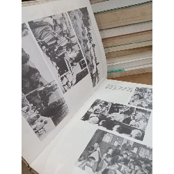 The seaside "Children's republic" - Vasily Golyshkin 762416