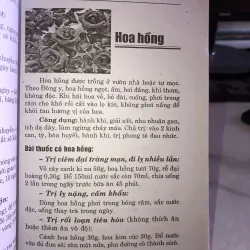 Chữa bệnh từ cây cỏ vườn nhà và bài thuốc gia truyền - Hải Quỳnh 1005367