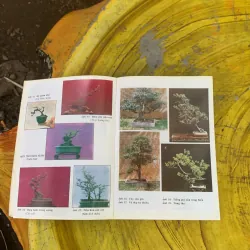 BONSAI CÂY DÁNG, THẾ VÀ NON BỘ - ĐỖ HIỆP 759688