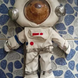 Gấu bông các loại 779726