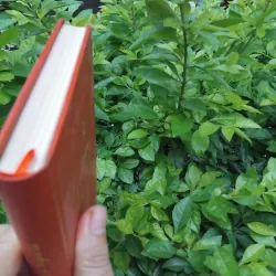 Tuyển tập thơ ca trù  994813