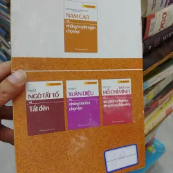 sách Nam Cao và những truyện ngắn chọn lọc  (B1) 701621