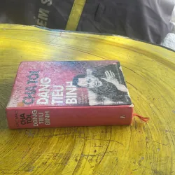 CHA TÔI, ĐẶNG TIỂU BÌNH thời kỳ cách mạng văn hoá- MAO MAO 1043020
