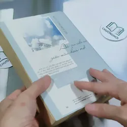 Ai Còn Chờ Ai Giữa Mùa Hoa Nở - Sói Xám Mọc Cánh 744737