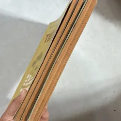 Văn học & Tiếng Việt 11 990394