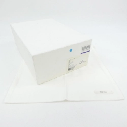 ザロウ THE ROW AVA F1003-N61 Giày bệt 659019