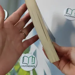 Bùi Thị Mè - Kể Chuyện Đời Mình - Bùi Thị Mè 928530