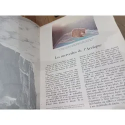 Encyclopédie de la vie sauvage 593043