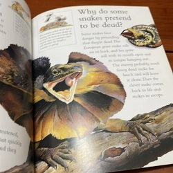 PICTURE BOOK Snakes shed their skin 536374