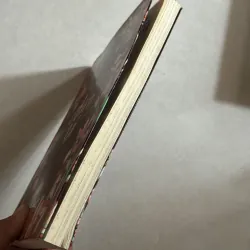 Cầu vòng diên vĩ - Phạm Hải Đăng 783550