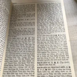 Từ điển Phật học Hán - Việt  782901