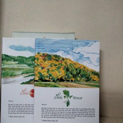 Little Forest (Khu rừng nhỏ) 143016