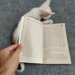 DƯỜNG NHƯ TA KHÔNG CÒN BÉ NỮA - THU TRÂN 567798