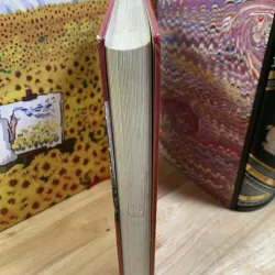 Nền Đạo Đức Tin Lành Và Tinh Thần Của Chủ Nghĩa Tư Bản - Max Weber - Bìa Cứng 748624