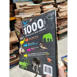 1000 Amazing Facts Facts About Animals!! 1005506