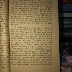 Cây sầu đâu sinh đôi - Trúc Phương  976169