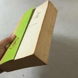 Hiểu về trái tim - Minh Niệm 738695